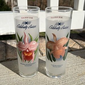 Set of 2 Celebrity Cruises Collectible Drinking Glasses